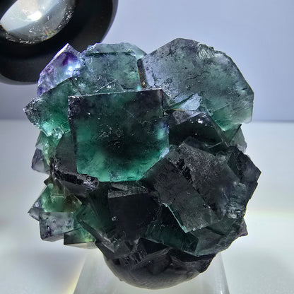 Spécimen rare de cube de fluorite fantôme, vert zonal et violet, Okorusu, Namibie, 50 x 46 x 26 mm 