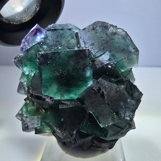Seltene Phantom Fluorit Würfel Stufe zonal grün lila Okorusu, Namibia 50*46*26mm