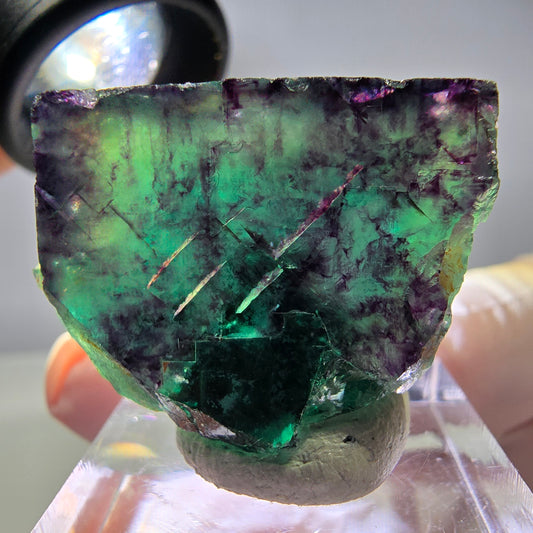 Rare cube de fluorite fantôme parqueté vert violet Okorusu Namibie 32*23*19mm 