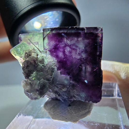 Rare cube de fluorite fantôme parqueté vert violet Okorusu Namibie 23*21*14mm 