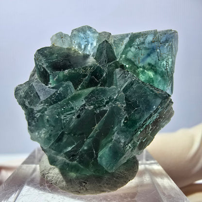 Seltene Phantom Fluorit Würfel Stufe, grün Okorusu, Namibia 33*27*20mm