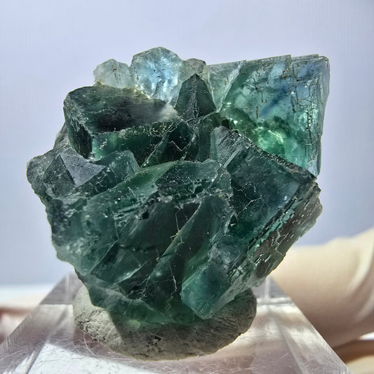 Rare spécimen de cube de fluorite fantôme, vert Okorusu, Namibie 33 x 27 x 20 mm 