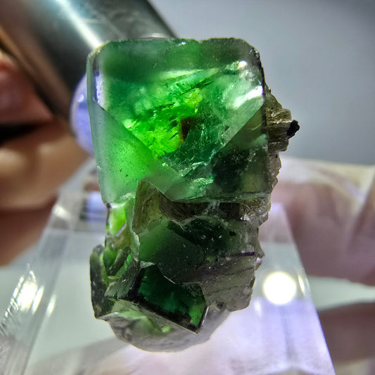Fluorite fantôme, quartz fumé, hyalite, tourmaline Schörl, muscovite, Erongo, Namibie, 24 x 15 x 16 mm 