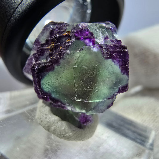 Rare spécimen de cube de fluorite fantôme, vert-violet zonal, Okorusu, Namibie, 19 x 19 x 12 mm 