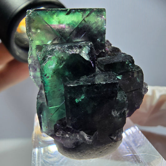Rare Fluorite Cube Specimen, green purple Okorusu, Namibia 32*27*26mm 