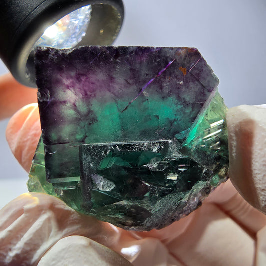 Spécimen de cube de fluorite fantôme, parqueté vert violet Okorusu, Namibie 37*31*25 mm 