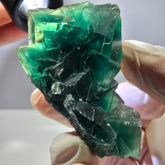 Rare spécimen de cube de fluorite fantôme, parqueté vert Okorusu, Namibie, 65 x 36 x 31 mm 