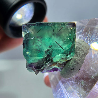 Phantom Fluorit Würfel Stufe, parkettiert grün lila Okorusu, Namibia 14*13*13mm