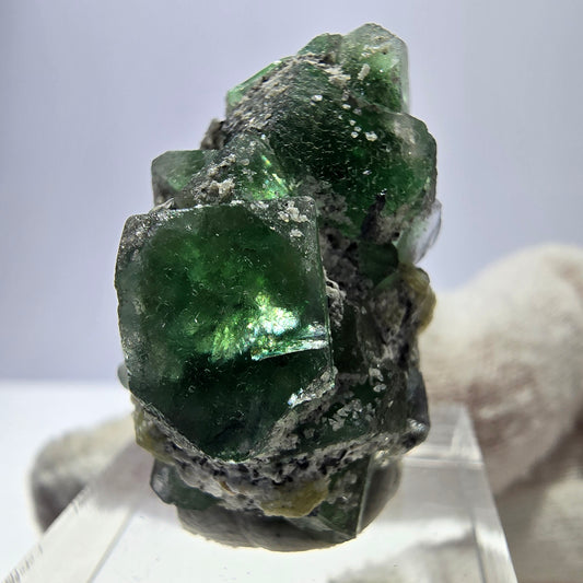 Fluorite fantôme, tourmaline Schörl, stade muscovite Erongo Namibie 31*20*25mm 