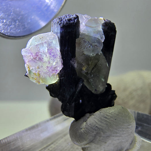 Spécimen de tourmaline Schorl hexagonale en fluorite fantôme, Erongo, Namibie, 21 x 17 x 12 mm 