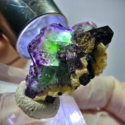 Cube de fluorite fantôme, zonal, muscovite, spécimen de tourmaline Schorl, Erongo, Namibie, 26 x 17 x 12 mm 