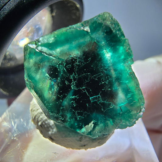 Cube de fluorite fantôme transparente parquetée, vert Okorusu, Namibie 17 x 15 x 12 mm 