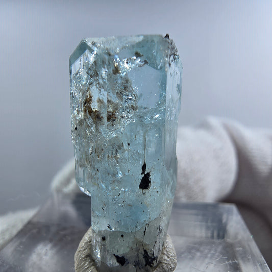 Aigue-marine Setlene, spécimen de tourmaline Schorl, Erongo, Namibie, 23 x 11 x 9 mm 