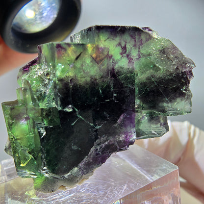 Rare Fluorite Cube Specimen, green purple Okorusu, Namibia 42*24*21mm 