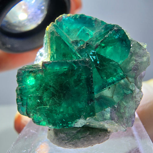 Phantom Fluorit Würfel Stufe, grün parkettiert Okorusu, Namibia 27*27*17mm