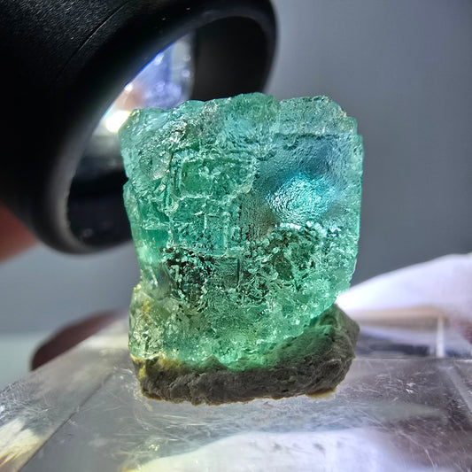 Cube de fluorite fantôme transparente parquetée, vert Okorusu, Namibie 15*14*14mm 