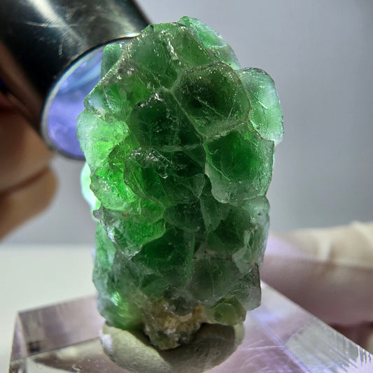 Cube de fluorite fantôme, muscovite et tourmaline Schorl, spécimen d'Erongo, Namibie, 29 x 19 x 17 mm 