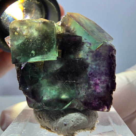 Spécimen de cube de fluorite fantôme, parqueté vert violet Okorusu, Namibie 30*28*15 mm 