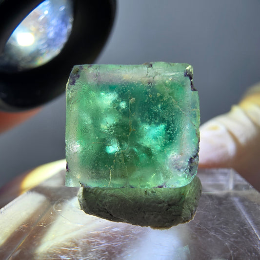 Cube de fluorite fantôme parqueté, vert violet Okorusu, Namibie 12*12*12mm 