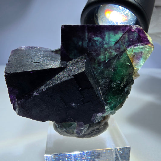 Seltene Phantom Fluorit Würfel Stufe zonal grün lila Okorusu, Namibia 49*38*37mm