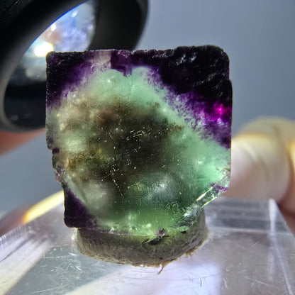 Cube de fluorite fantôme parqueté, zonal, vert violet Okorusu, Namibie 15*15*10mm 