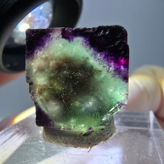 Cube de fluorite fantôme parqueté, zonal, vert violet Okorusu, Namibie 15*15*10mm 