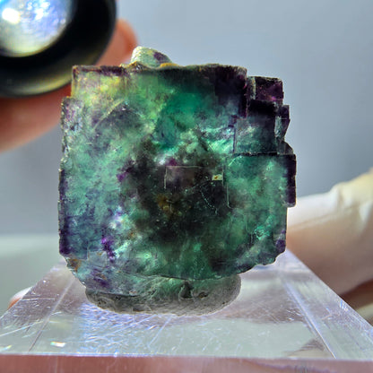 Phantom Fluorit Würfel Stufe, parkettiert, zonal Okorusu, Namibia 23*22*20mm
