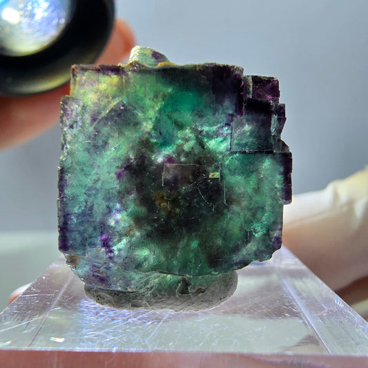 Phantom Fluorit Würfel Stufe, parkettiert, zonal Okorusu, Namibia 23*22*20mm