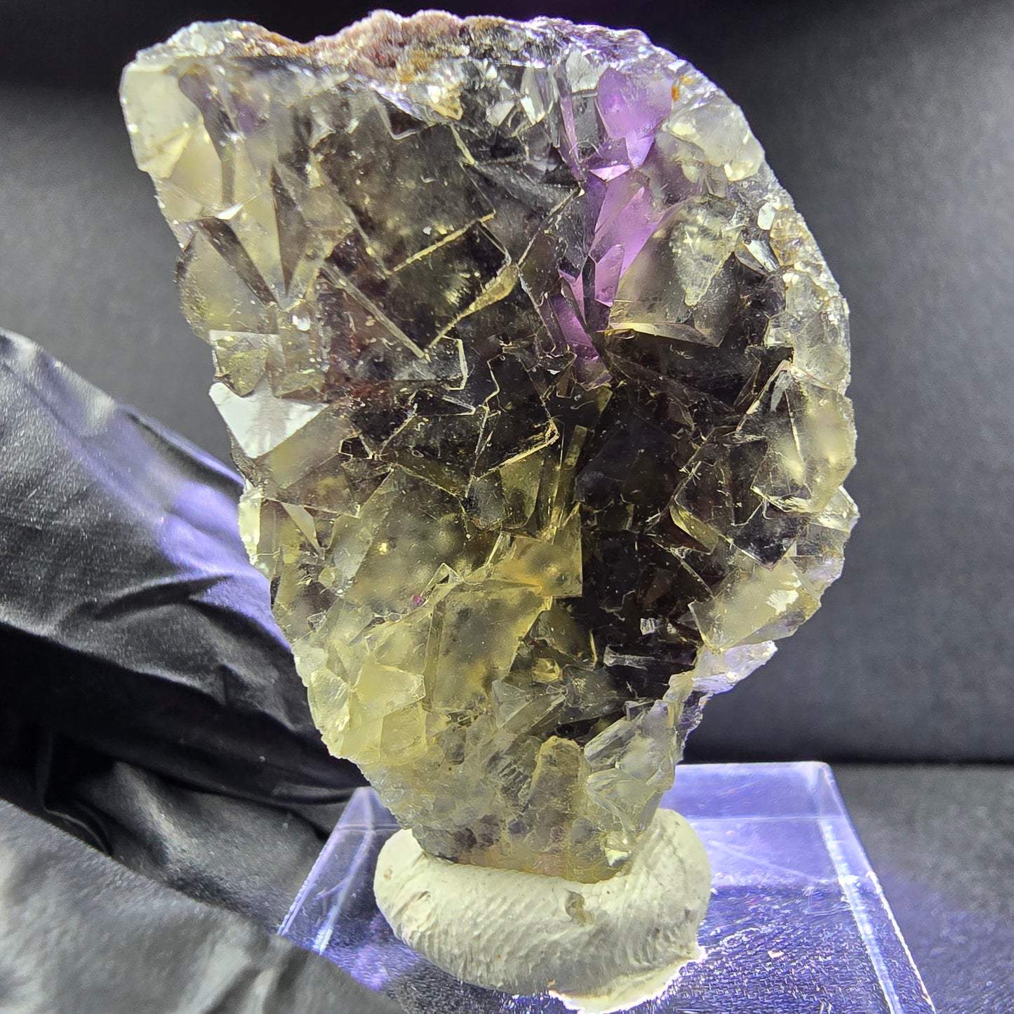 Rare Zonare Fluorite XX cube specimen yellow purple 43*28*15mm from Okorusu, Namibia