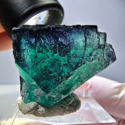 Phantom Fluorit Würfel parkettiert, grün lila Okorusu, Namibia 29*23*22mm