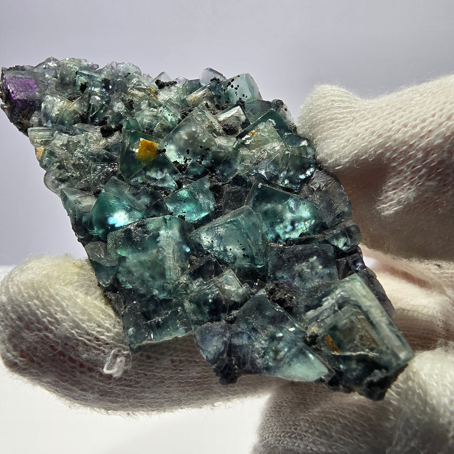 Cubes rares de fluorite fantôme zonale, vert violet, Erongo, Namibie 74 x 41 x 9 mm 