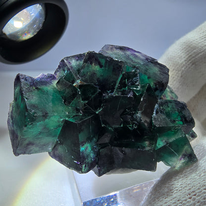 Spécimen rare de cube de fluorite fantôme, vert zonal et violet, Okorusu, Namibie, 49 x 34 x 29 mm 