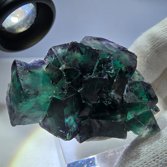 Seltene Phantom Fluorit Würfel Stufe zonal grün lila Okorusu, Namibia 49*34*29mm