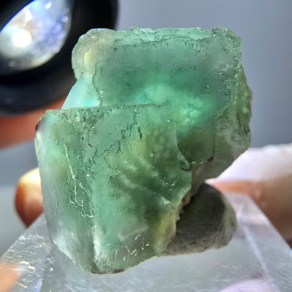 Phantom Fluorit Würfel Stufe, grün parkettiert Okorusu, Namibia 23*23*22mm