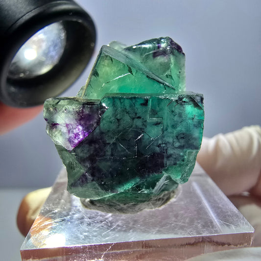 Spécimen de cube de fluorite fantôme, parqueté vert violet Okorusu, Namibie 26*20*18 mm 
