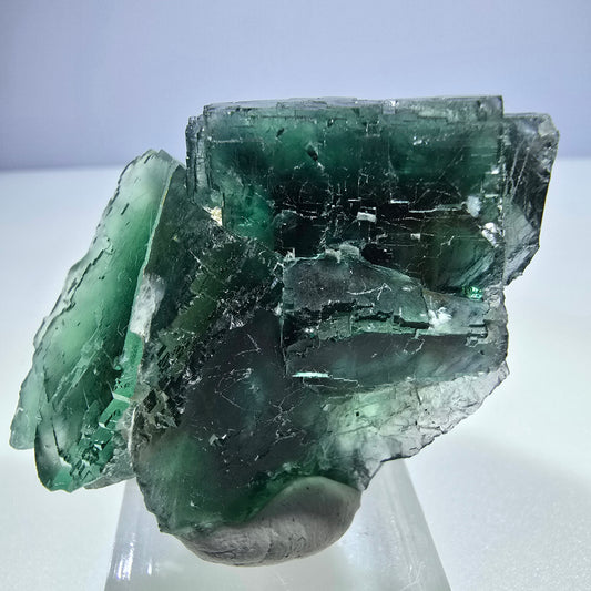 Phantom Fluorit Würfel Stufe, parkettiert grün braun Okorusu, Namibia 55*40*25mm