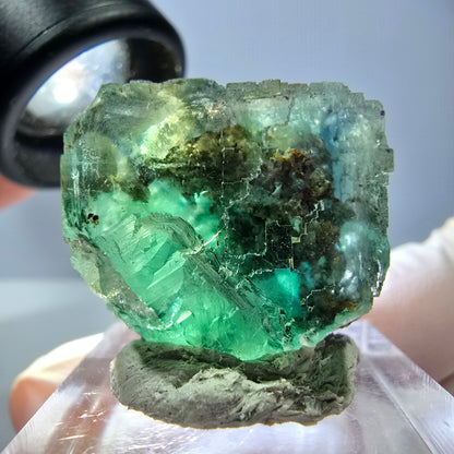 Cube de fluorite fantôme transparente parquetée, vert Okorusu, Namibie 21 x 21 x 19 mm 