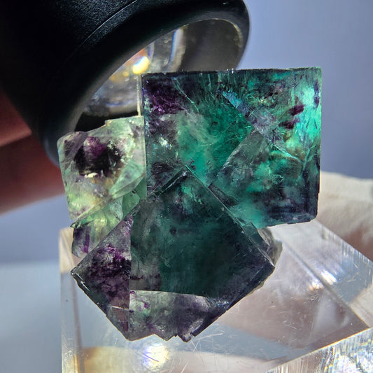 Spécimen de cube de fluorite fantôme, parqueté vert violet Okorusu, Namibie 31*25*20 mm 