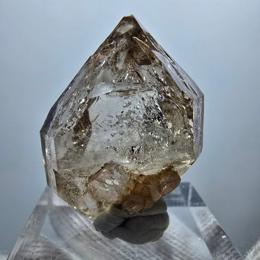 Klare Phantom Rauchquarz Zepter DT Spitze Goboboseb, Namibia 29*22*16mm