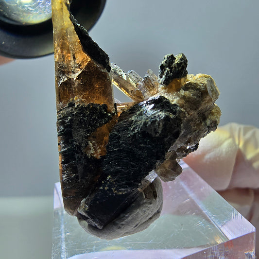 Rare spécimen de tourmaline Schorl et de quartz fumé, Erongo, Namibie, 36 x 27 x 22 mm 