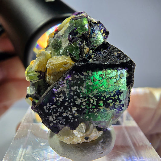 Cube de fluorite fantôme, zonal, muscovite, spécimen de tourmaline Schorl, Erongo, Namibie, 28 x 23 x 15 mm 