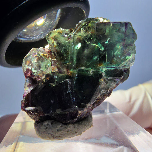 Spécimen de cube de fluorite fantôme, parqueté vert violet Okorusu, Namibie 27 x 20 x 12 mm 