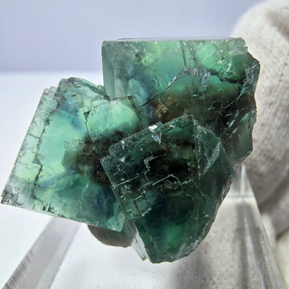 Rare Phantom Fluorite Cube Specimen, parqueted, green Okorusu, Namibia 29*23*21mm 