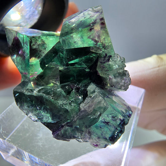 Phantom Fluorit Würfel Stufe, parkettiert grün lila Okorusu, Namibia 31*25*14mm