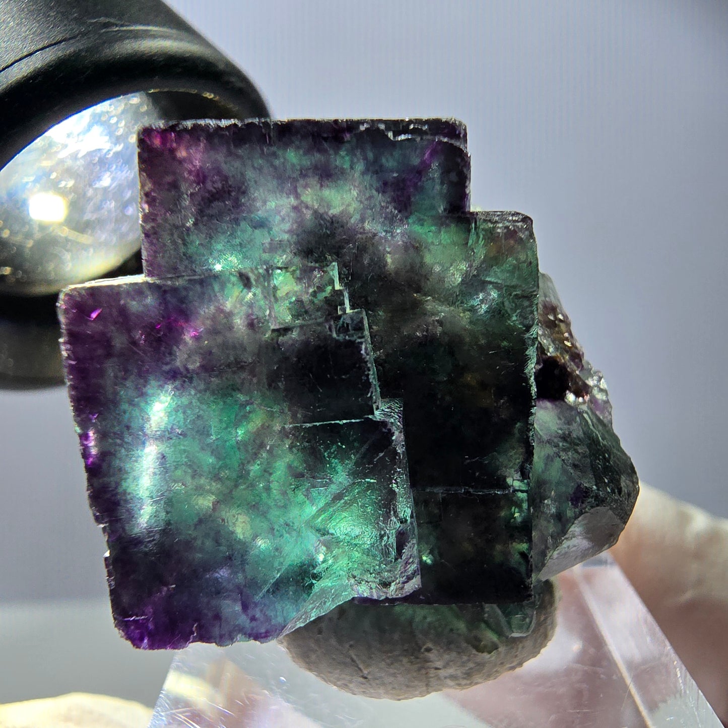Spécimen rare de cube de fluorite, vert violet, Okorusu, Namibie, 29 x 25 x 21 mm 
