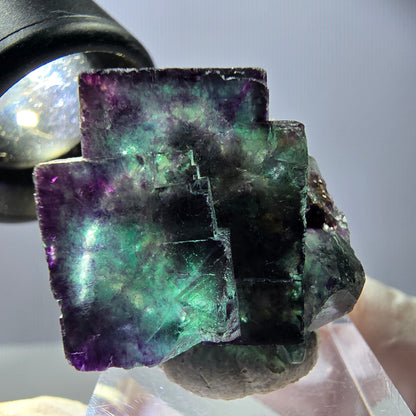 Spécimen rare de cube de fluorite, vert violet, Okorusu, Namibie, 29 x 25 x 21 mm 
