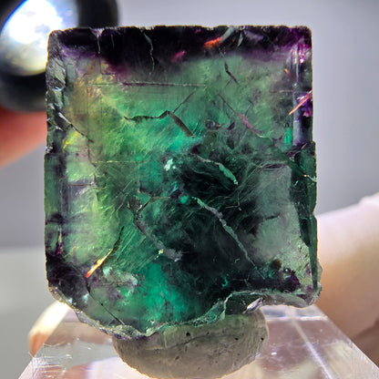 Rare cube de fluorite fantôme parqueté vert violet Okorusu Namibie 25*21*22mm 