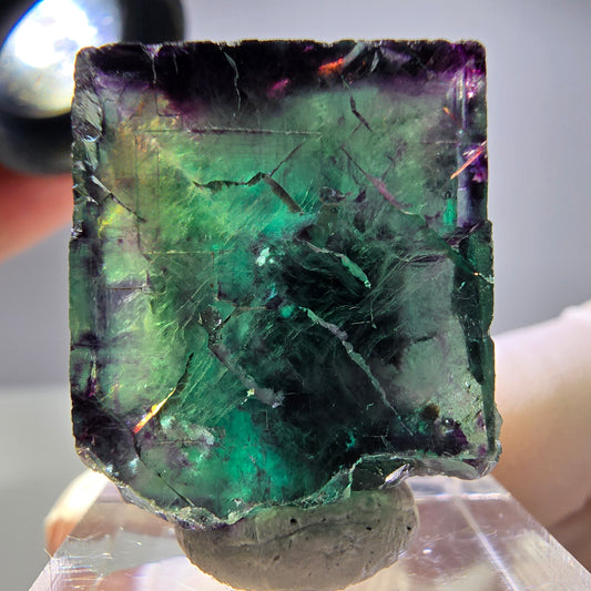 Rare cube de fluorite fantôme parqueté vert violet Okorusu Namibie 25*21*22mm 