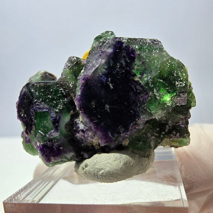 Cube de fluorite fantôme, zonal, muscovite, spécimen de tourmaline Schorl, Erongo, Namibie, 40 x 27 x 21 mm 