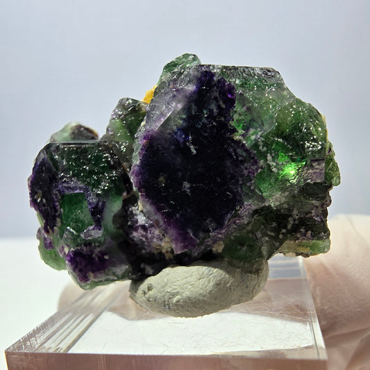 Cube de fluorite fantôme, zonal, muscovite, spécimen de tourmaline Schorl, Erongo, Namibie, 40 x 27 x 21 mm 